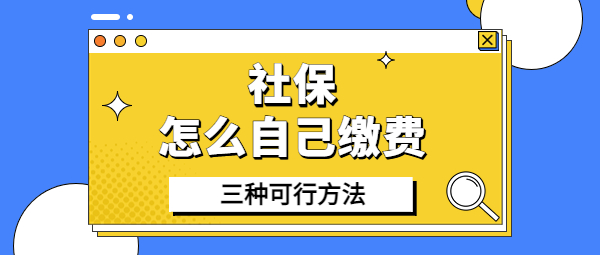 社保怎么自己缴费？有哪些方法-蚂蚁社保