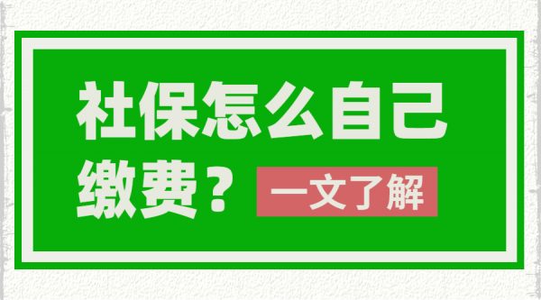 社保怎么自己缴费？-蚂蚁社保