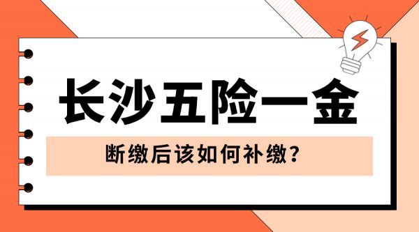 长沙五险一金断缴后该如何补缴？ – 蚂蚁社保