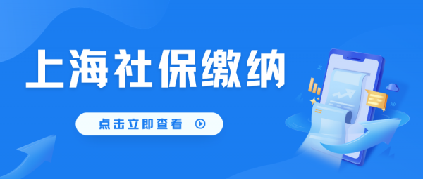 在上海，自己怎么缴纳社保？ – 蚂蚁社保