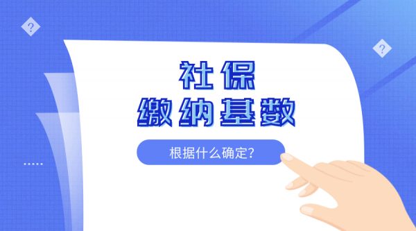 社保缴纳基数是根据什么确定的？ – 蚂蚁社保