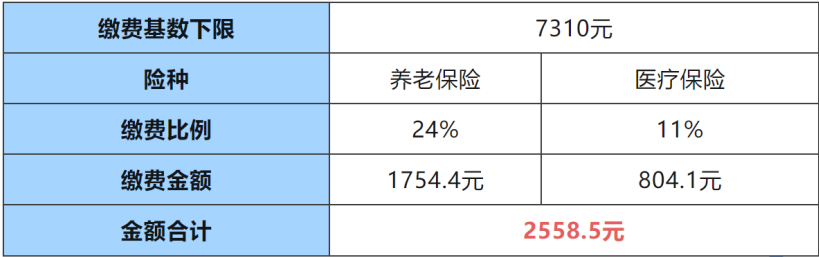 上海灵活就业人员个人缴费金额